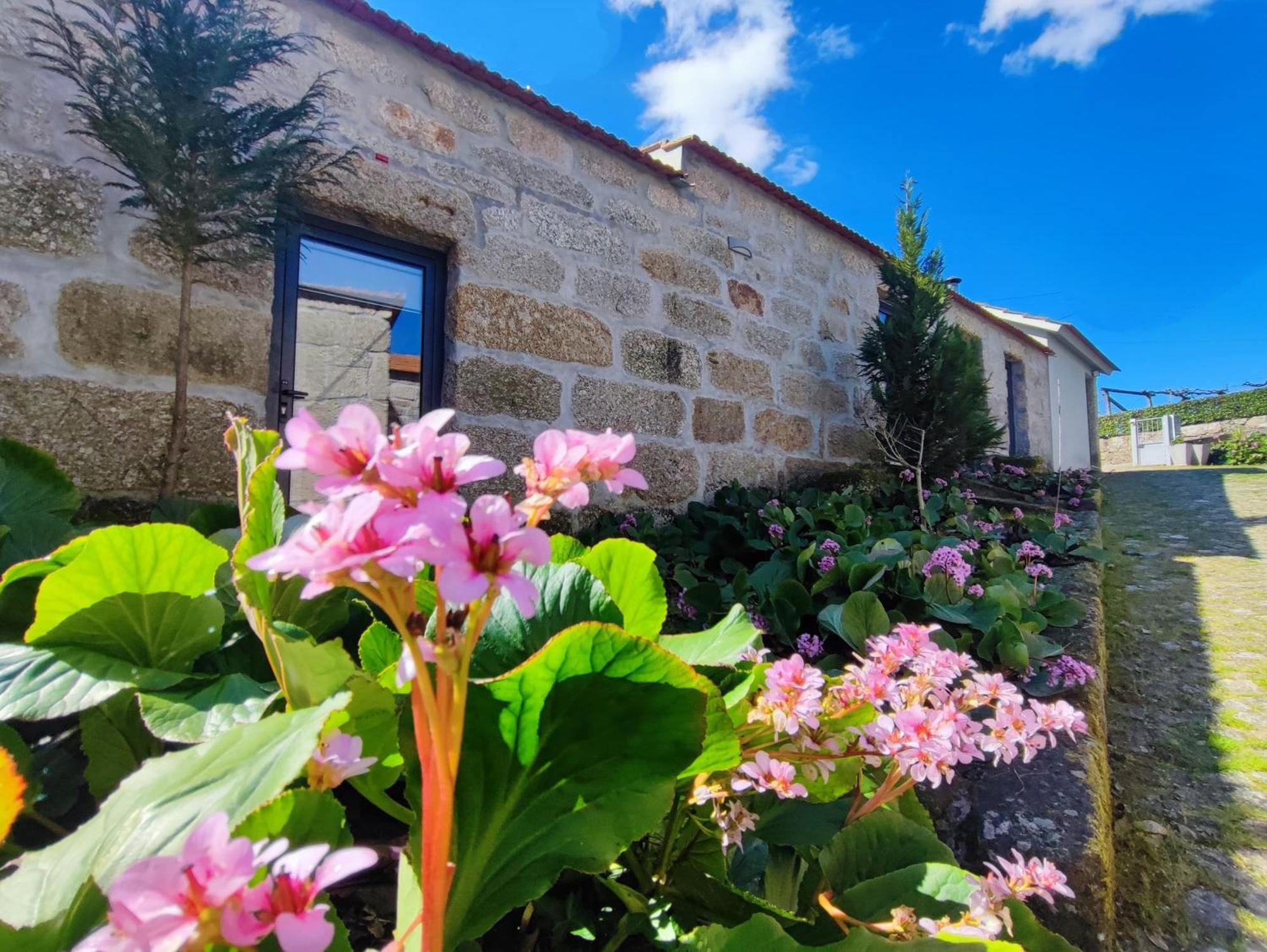 Agroturismo Quinta De Travancela Amarante Buitenkant foto