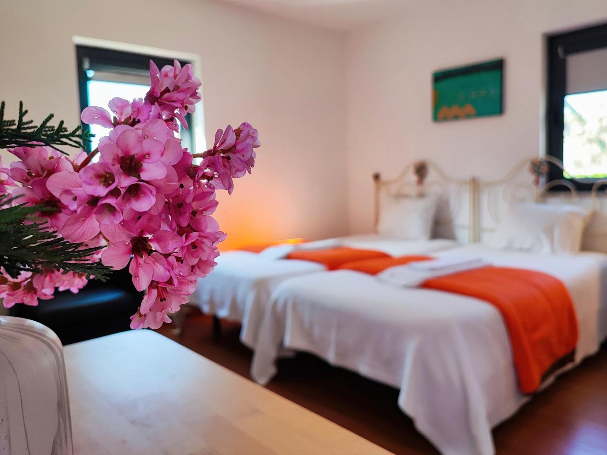 Agroturismo Quinta De Travancela Amarante Buitenkant foto