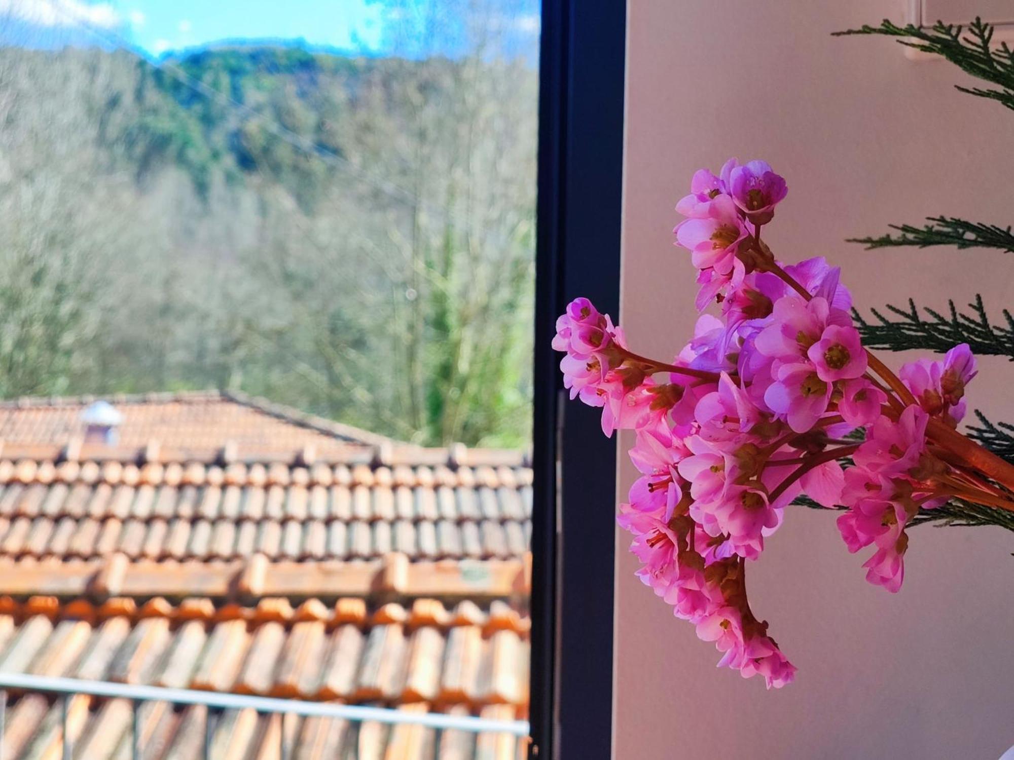 Agroturismo Quinta De Travancela Amarante Buitenkant foto