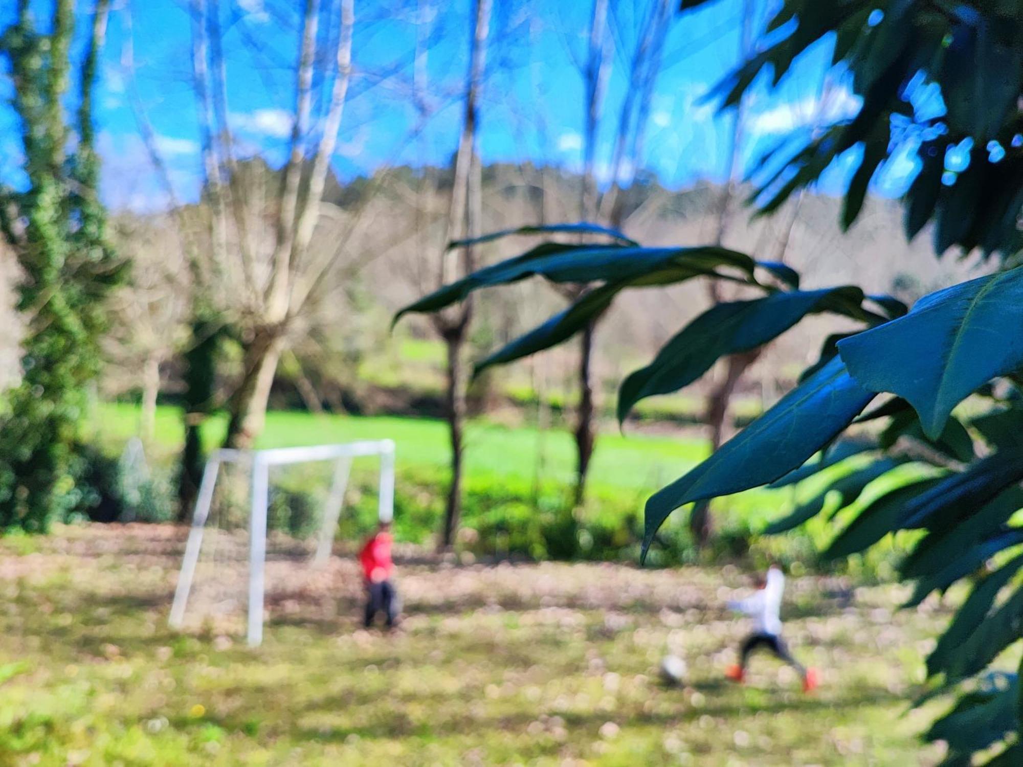Agroturismo Quinta De Travancela Amarante Buitenkant foto
