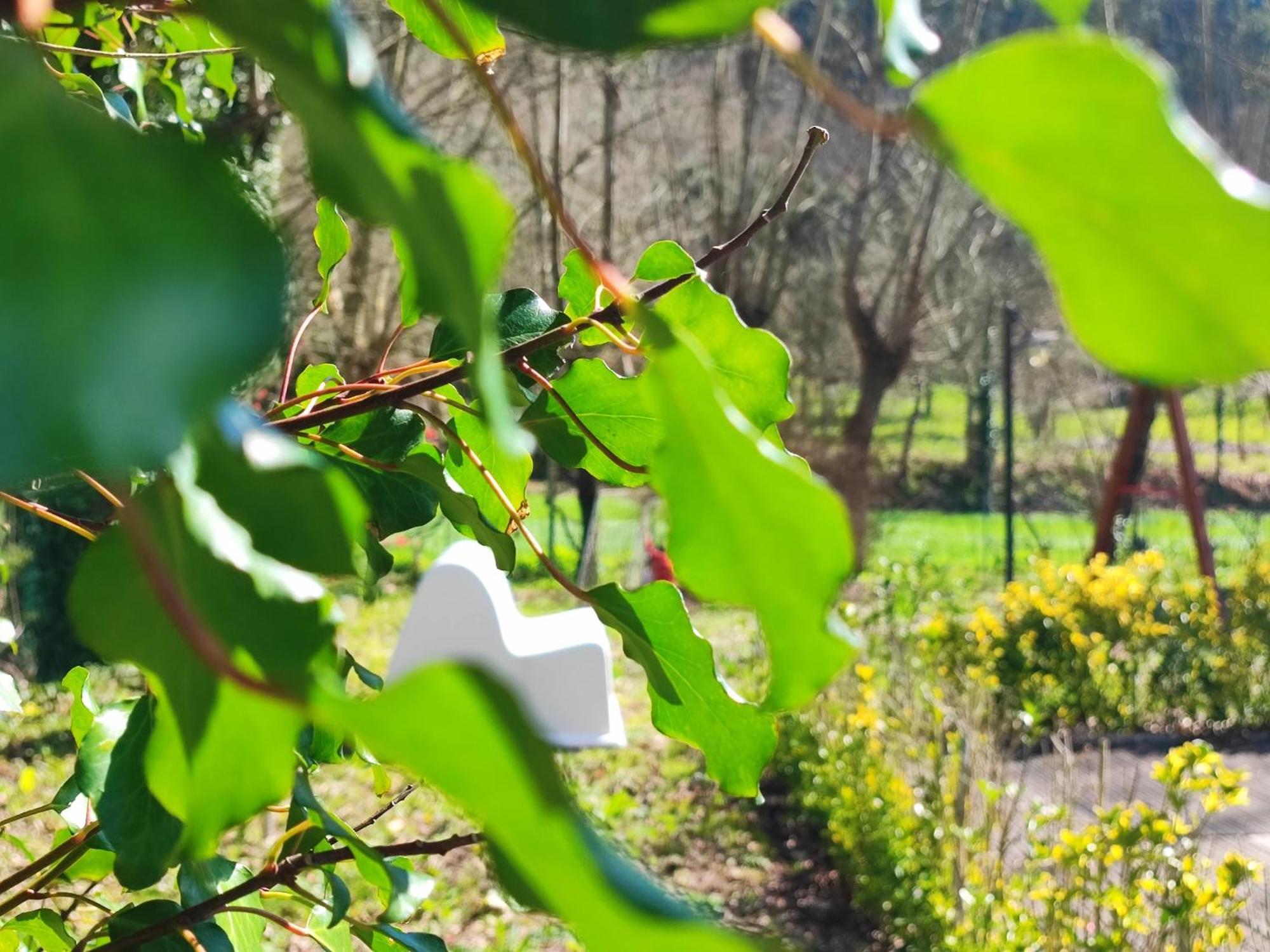 Agroturismo Quinta De Travancela Amarante Buitenkant foto