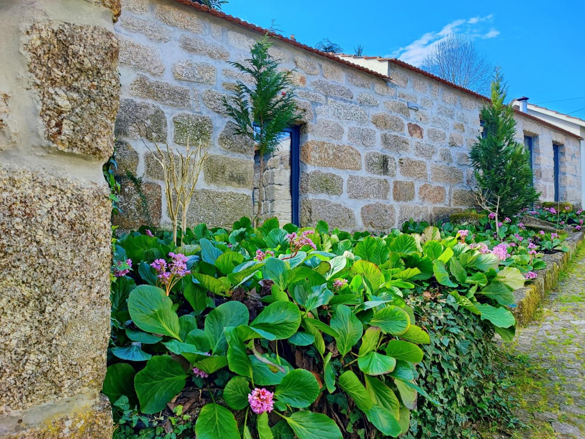 Agroturismo Quinta De Travancela Amarante Buitenkant foto